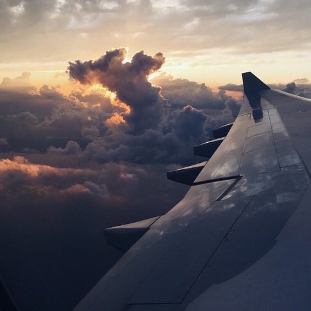 tmbIrpics's tweet photo. Fly ✈️ https://t.co/1O0PRcQOeu