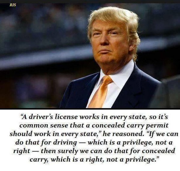 AmyMek's tweet image. Amen👉@realDonaldTrump! Driving is a privilege, carrying a gun is a right. Stop infringing on our rights.#AlwaysTrump