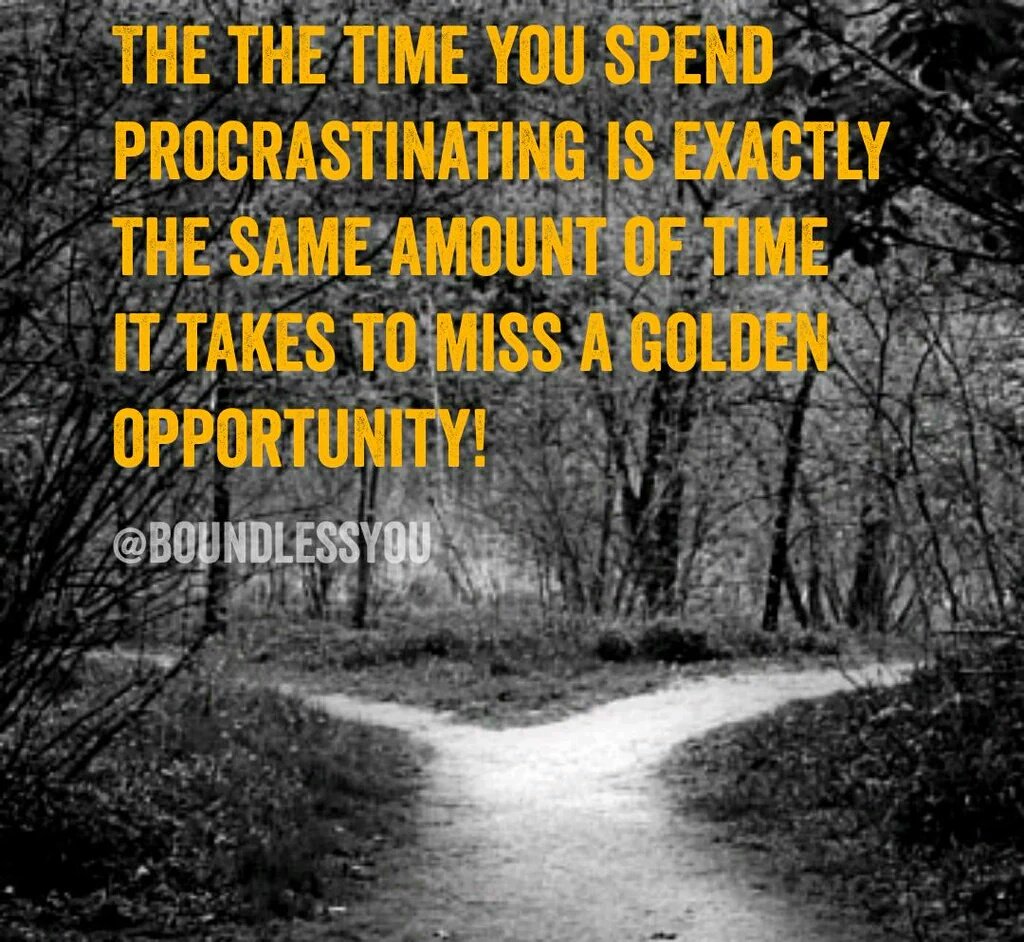 Boundless Wisdom tweet media