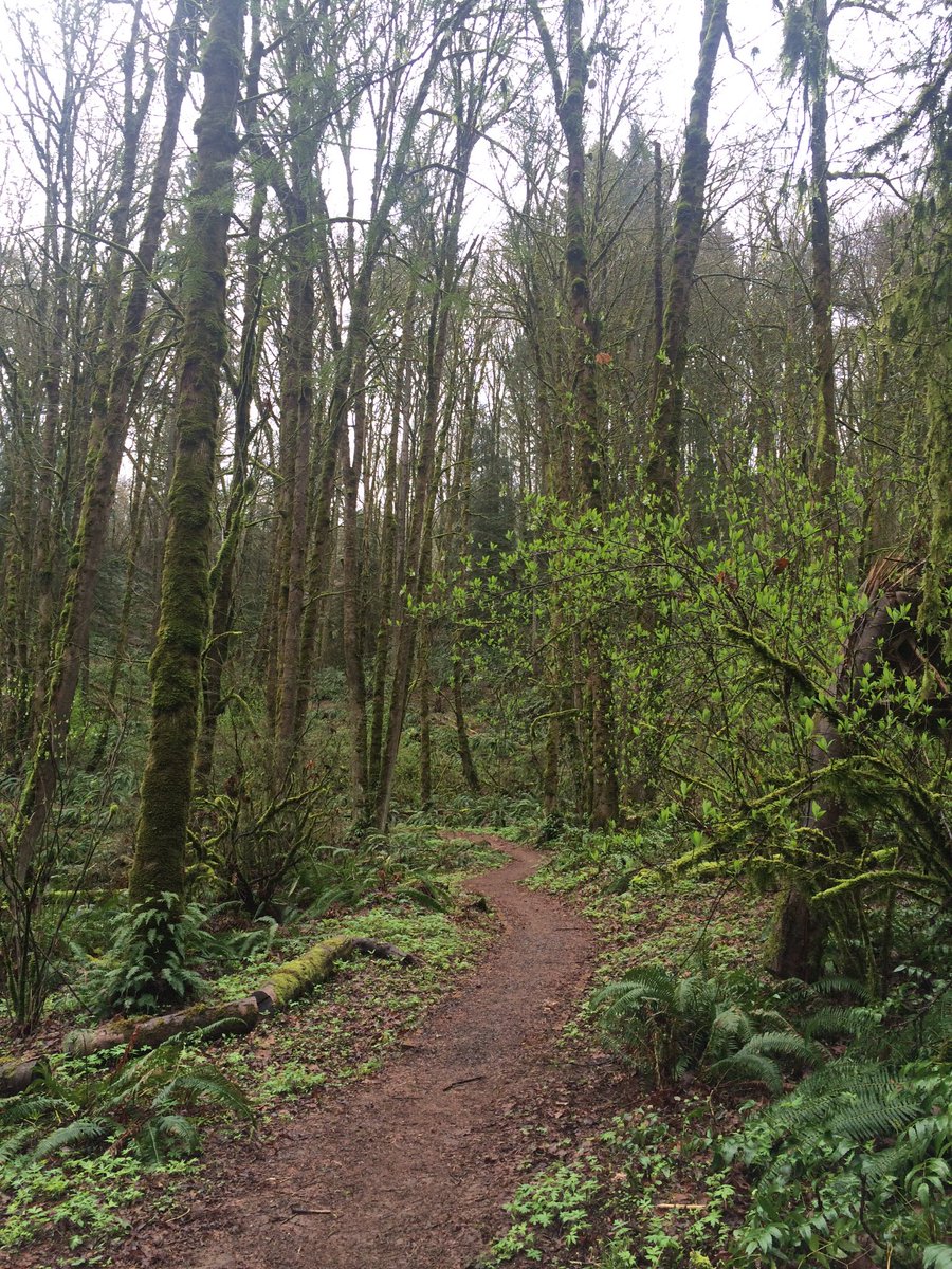MariahHudsonpdx's tweet photo. 3 runs 1 hike and a bridge a crossing in 24: #pdxrunner #sunbreaks https://t.co/uoZmUUPEAX