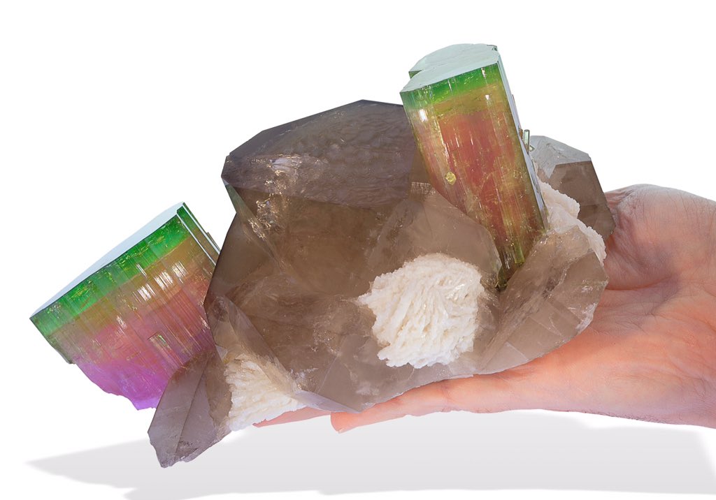 crystalgasm's tweet photo. tourmaline on smoky quartz https://t.co/68CytesYuy