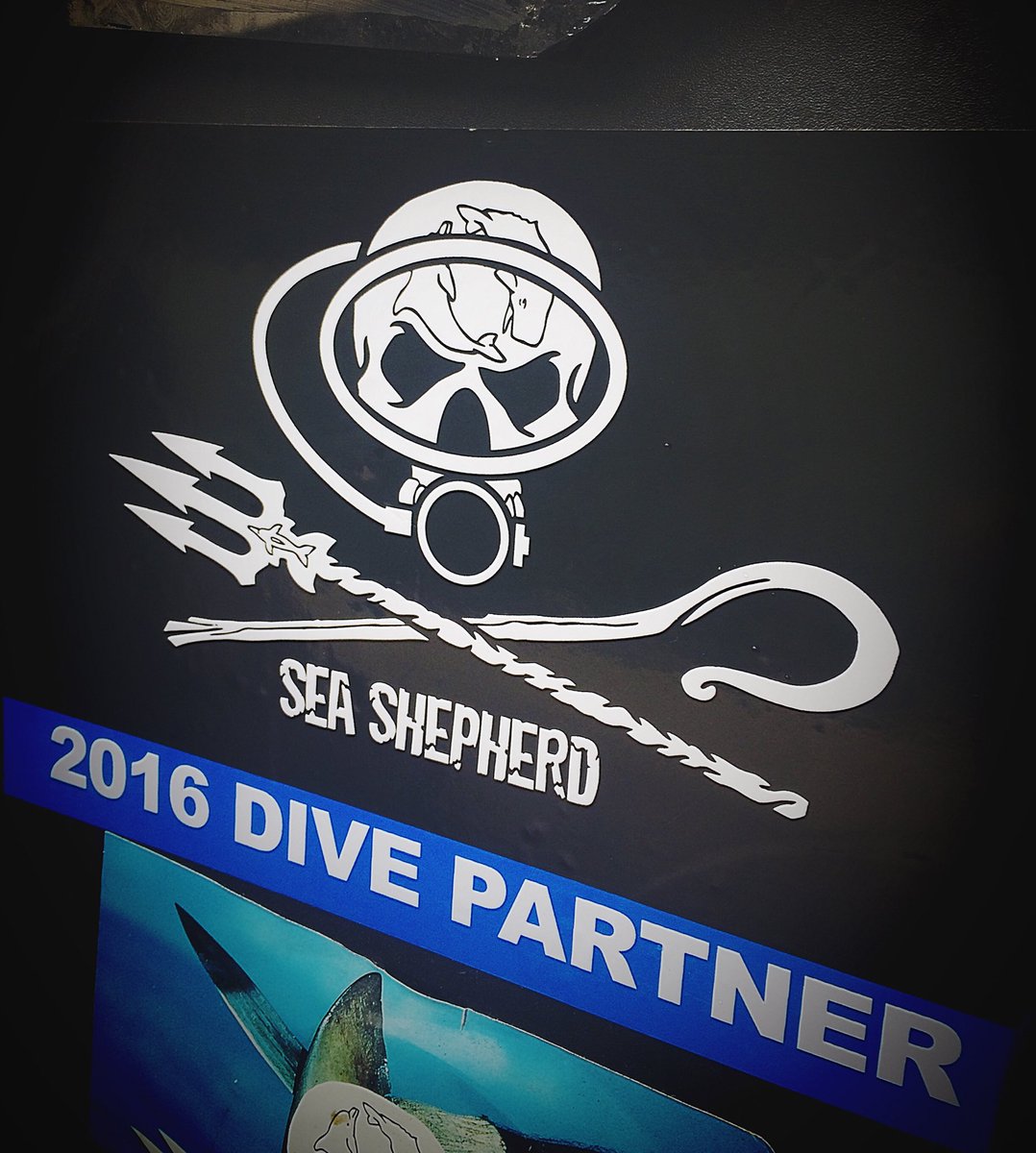 SeaShepherdDive's tweet image. Partner with the most effective marine conservation org. seashepherdglobal.org/dive/partner.h… #scuba #diving #conservation