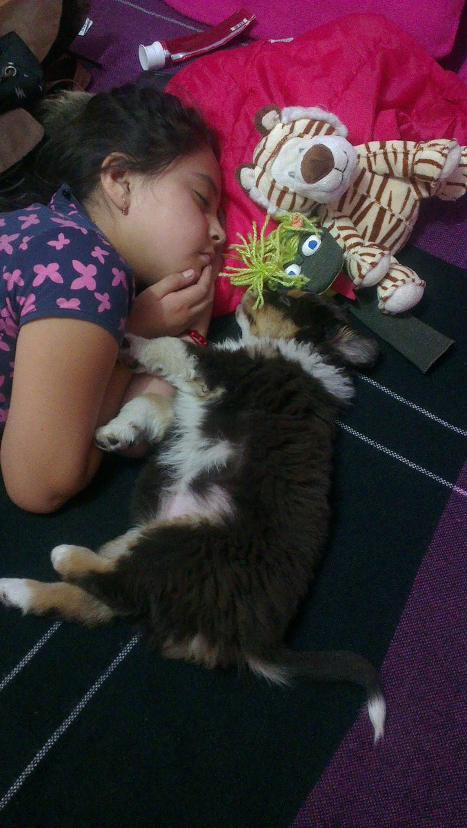 mjs_mome's tweet photo. #Dayanara #Anahi #Auguria #Lionel #serpentina https://t.co/Et9gaNWMuR