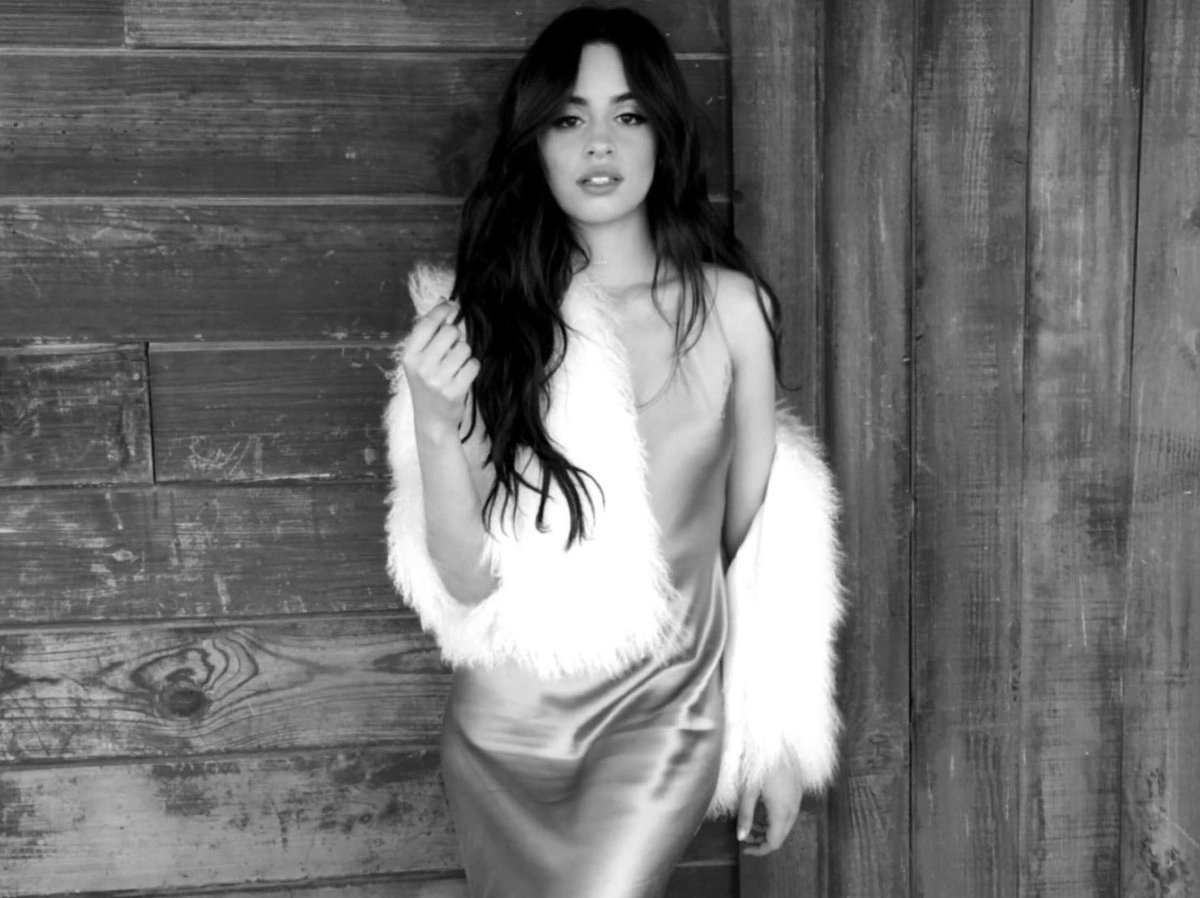 Camila_Cabello's tweet photo. HEY i just noticed one side of the wall is horizontal wood and the other is vertical. i wonder if they get along https://t.co/C37qSFUxRe