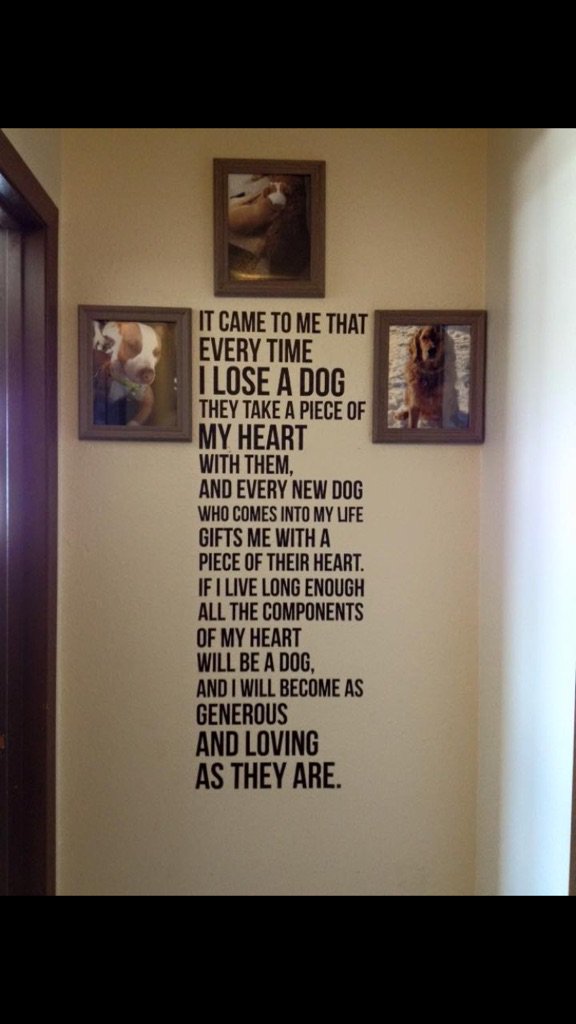 Facebook Gemz tweet media