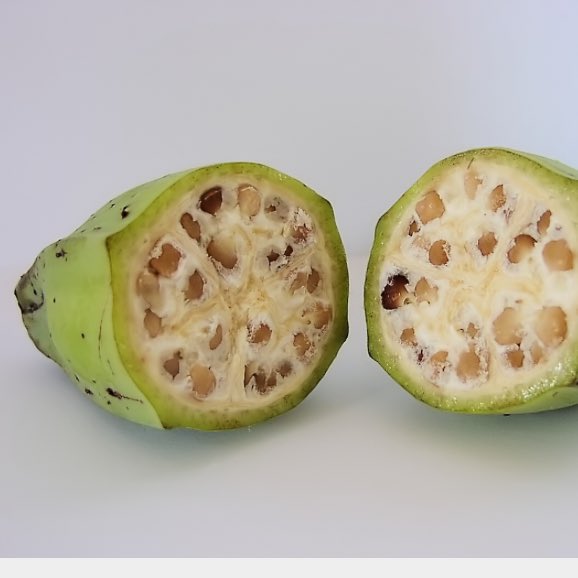 what is a banana shaped body