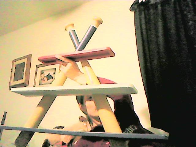 DebbieTingle1's tweet photo. look what the neighbor gave him a shelf https://t.co/Us39UtyYti