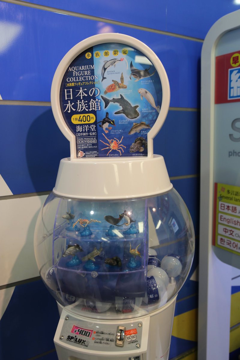 フィギュア 日本の水族館 海遊館 海洋堂 - ジンベエザメ」の落札相場