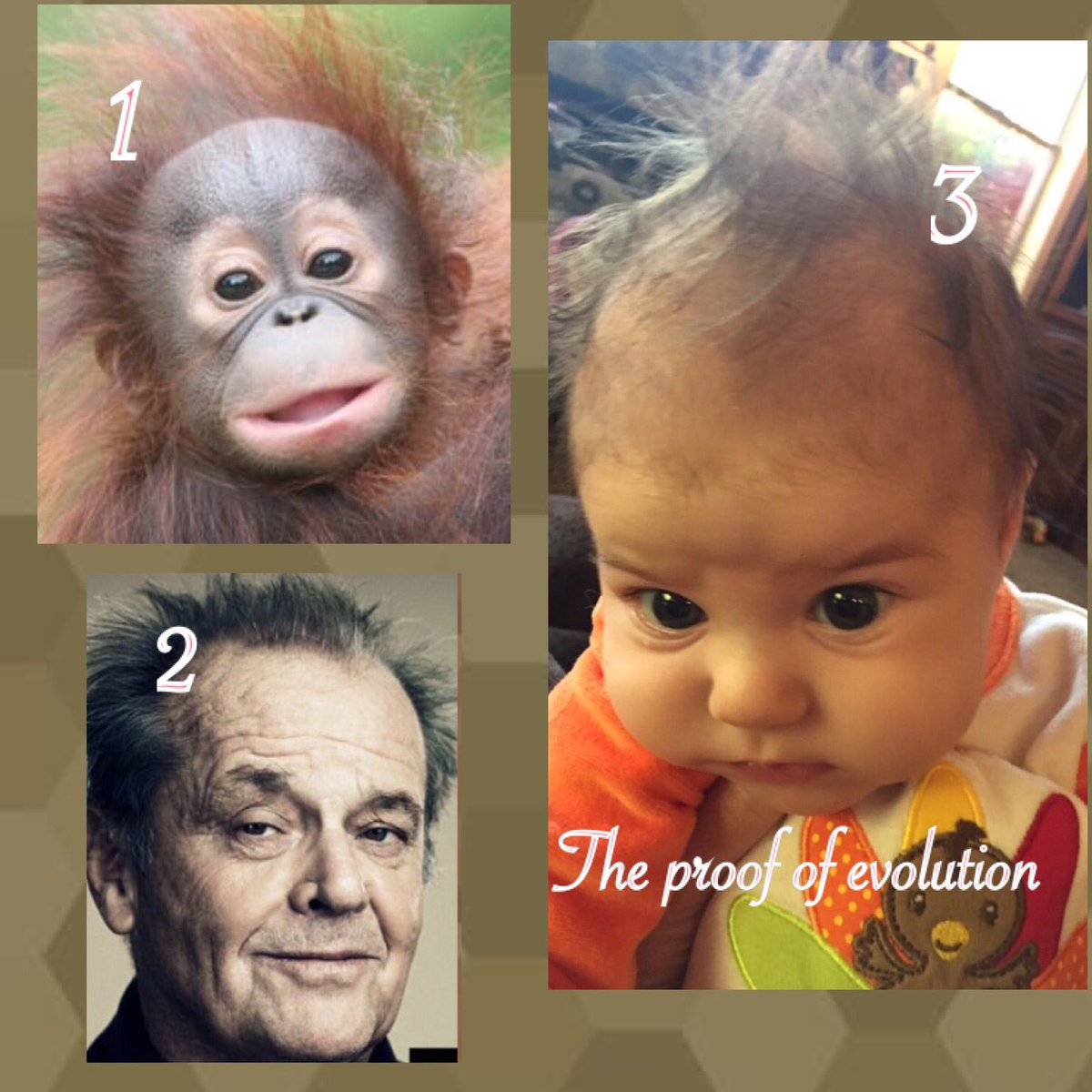 MichelleCRandF's tweet photo. #evolution https://t.co/Lttqh8m8ym