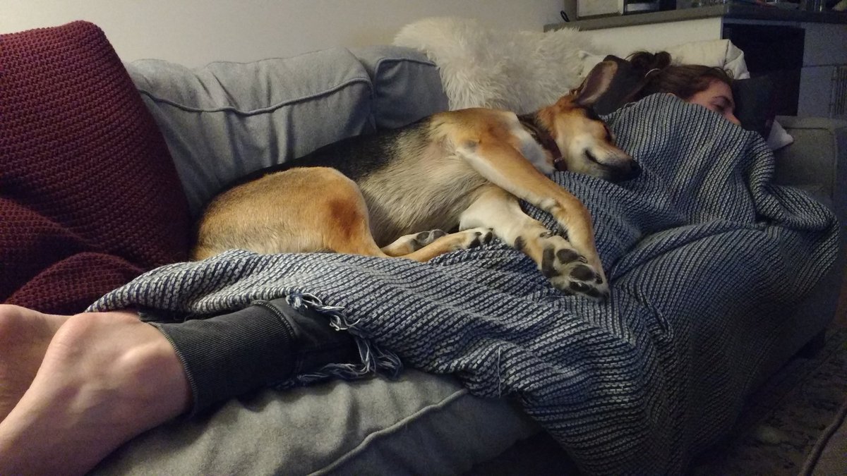 bennikkel's tweet photo. It's more or less bedtime around here. https://t.co/IUMckBtvcM