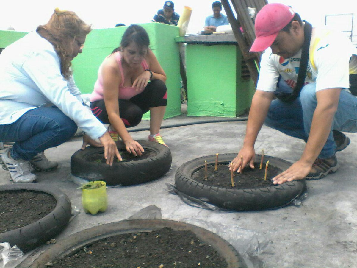 Impulsan huerto productivo en azotea de Zona Educativa #Táchira 
prensacdp.com/1826-2/ .<a href="/SilvaEleazarL/">Eleazar López Silva</a>