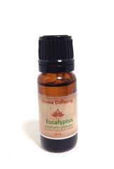 DivineDiffusing's tweet photo. Eucalyptus essential oil is amazing for respiratory problems such as asthma. https://t.co/3Db82d3THG