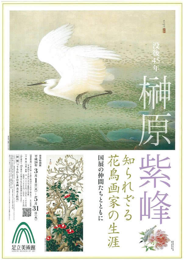 春季特別展「榊原紫峰 知られざる花鳥画家の生涯」では、生涯