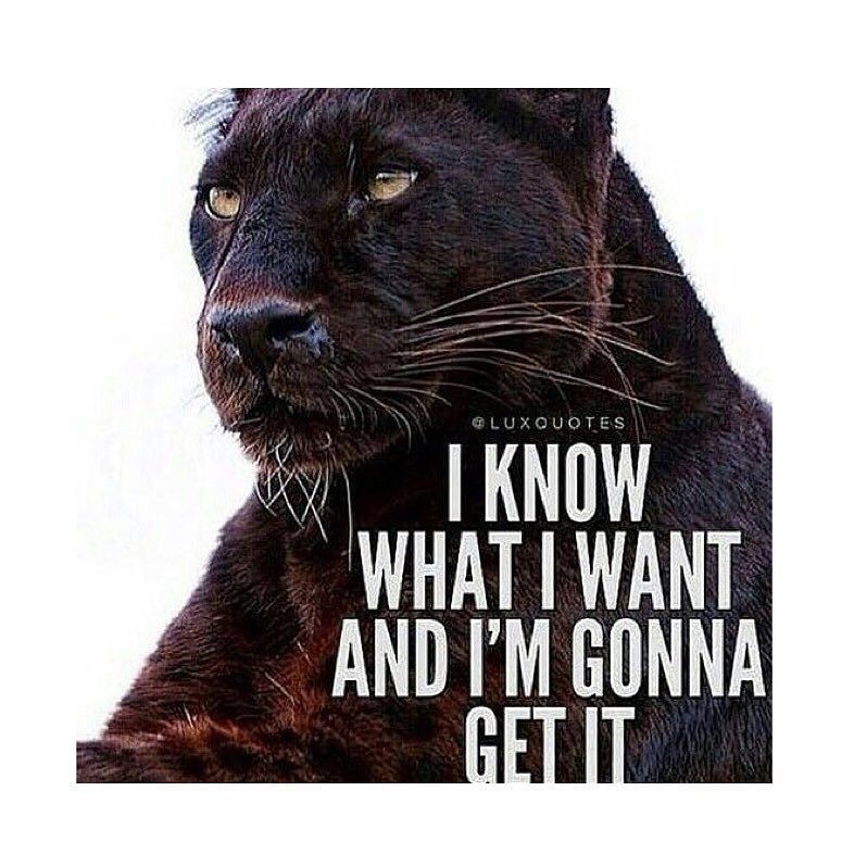 CoupleFit_'s tweet photo. Be determined and never stop. Follow your #Dreams. #Motivation #Inspiration #Goals #NeverQโฆ https://t.co/v2c8f1NUKm https://t.co/PwtouMhVIJ