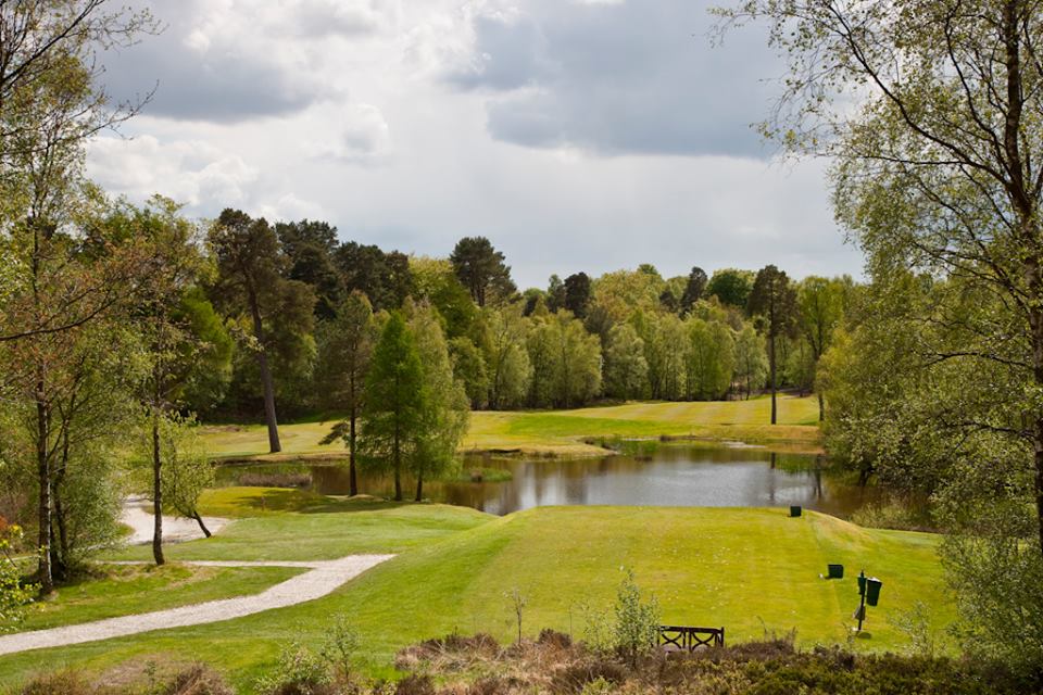 dougalstongolf's tweet photo. https://t.co/vmFiP4Bin1
