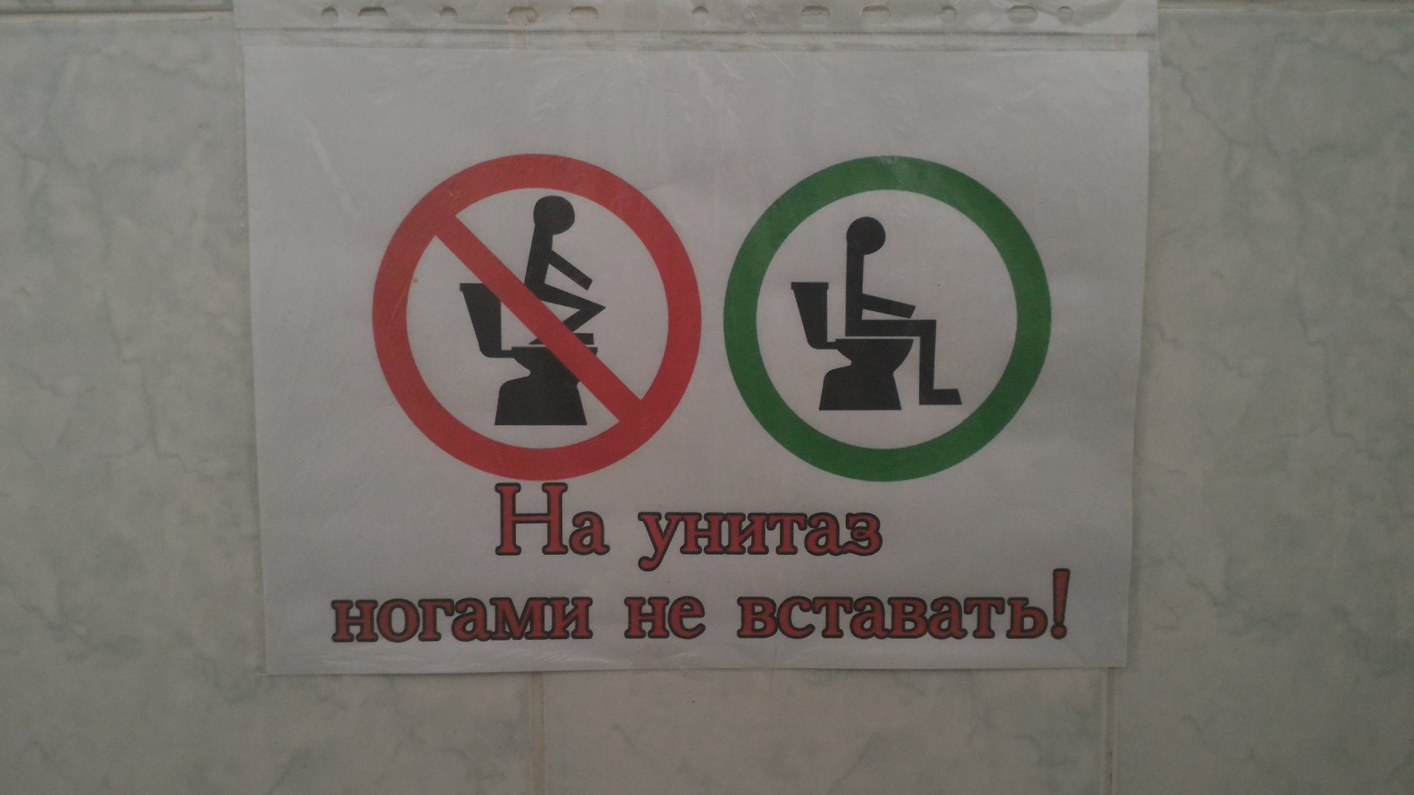 Дню, прикольные картинки как пользоваться туалетом
