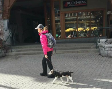 Judy598726257's tweet photo. 可爱的狗宝宝。我在这里感受最深的是狗狗和人享受同样的待遇。人能到的地方狗狗也同样能去。 https://t.co/QiITn1aWNq