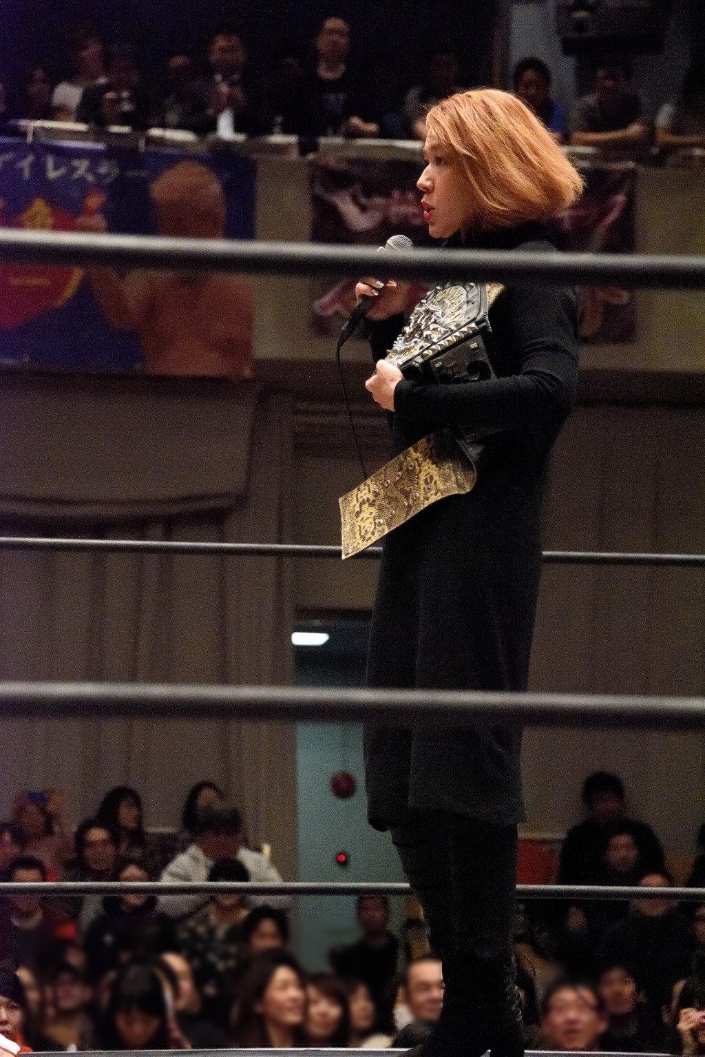Ajcc 16 01 03 Ddt 後楽園ホール 第3試合 Lilicoが乱入 赤井沙希をチェーンで締め上げてアイアンマンヘビーメタル級王座獲得 顔の迫力がすごい Ddtpro T Co Inbecnclqg Ajcc 16 01 03 Ddt 後楽園ホール 第3試合 Lilicoが乱入 赤井沙希をチェーンで締め上げてアイアンマンヘビーメタル級王座獲得 顔の迫力がすごい Ddtpro T Co Inbecnclqg