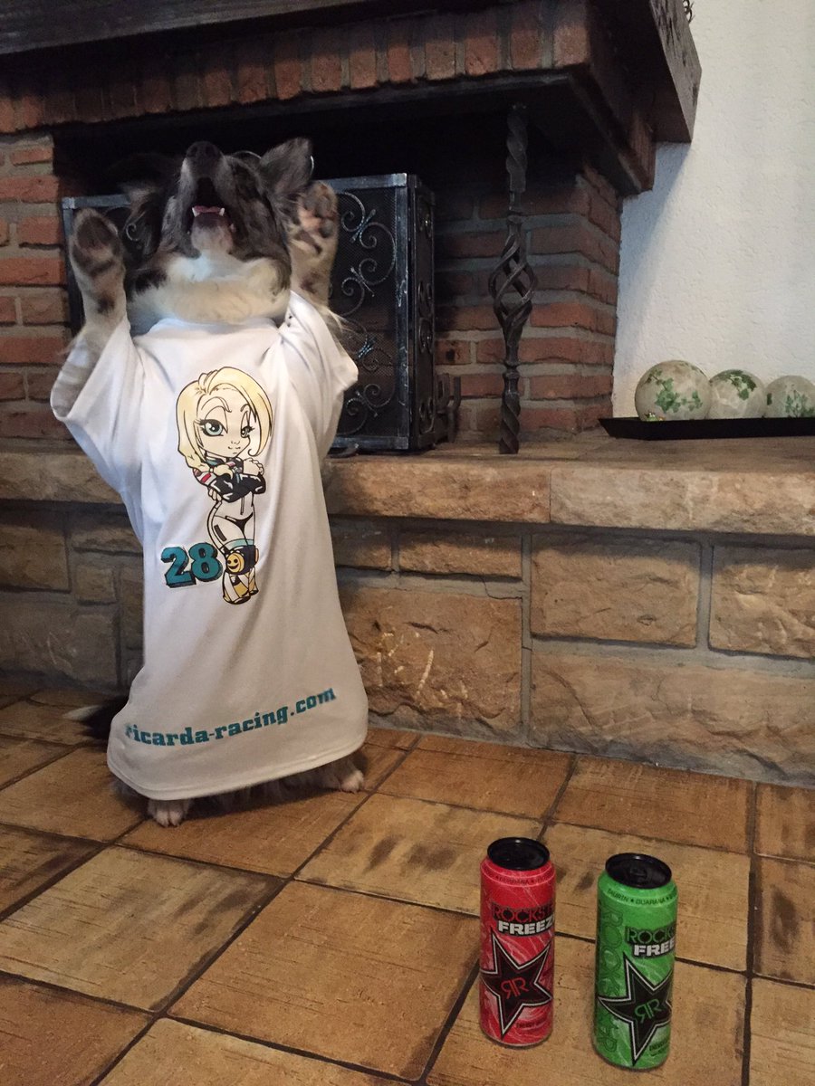 RicaNeubauer's tweet photo. Look at my raffle!
Guckt euch meine Verlosung an!

https://t.co/PmgEThIvMI https://t.co/feE4eHTw62