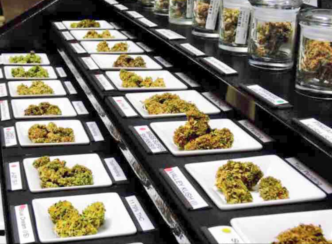MaineHemp's tweet photo. If you haven't signed up 4 your https://t.co/8FEkFeEsoj profile yet we'd 💖 to have you! Cannabis Lovers Only✌🏻️💨 https://t.co/EyX4xvWTSK
