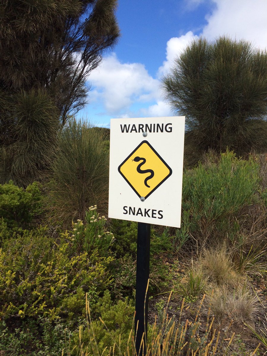 SouthTheRoad's tweet photo. Not what you want to see on a Sunday afternoon stroll #greatoceanroad https://t.co/6PhlwRVugj