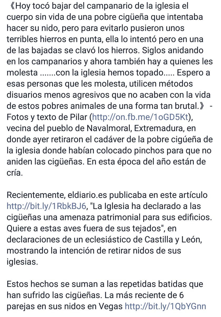 YolandaC4's tweet photo. @Junta_Ex es una aberración aniquilar a uno de los símbolos de Extremadura (NavalMoraldelaMata) @joaquinaraujo https://t.co/iTRAHV6Np0