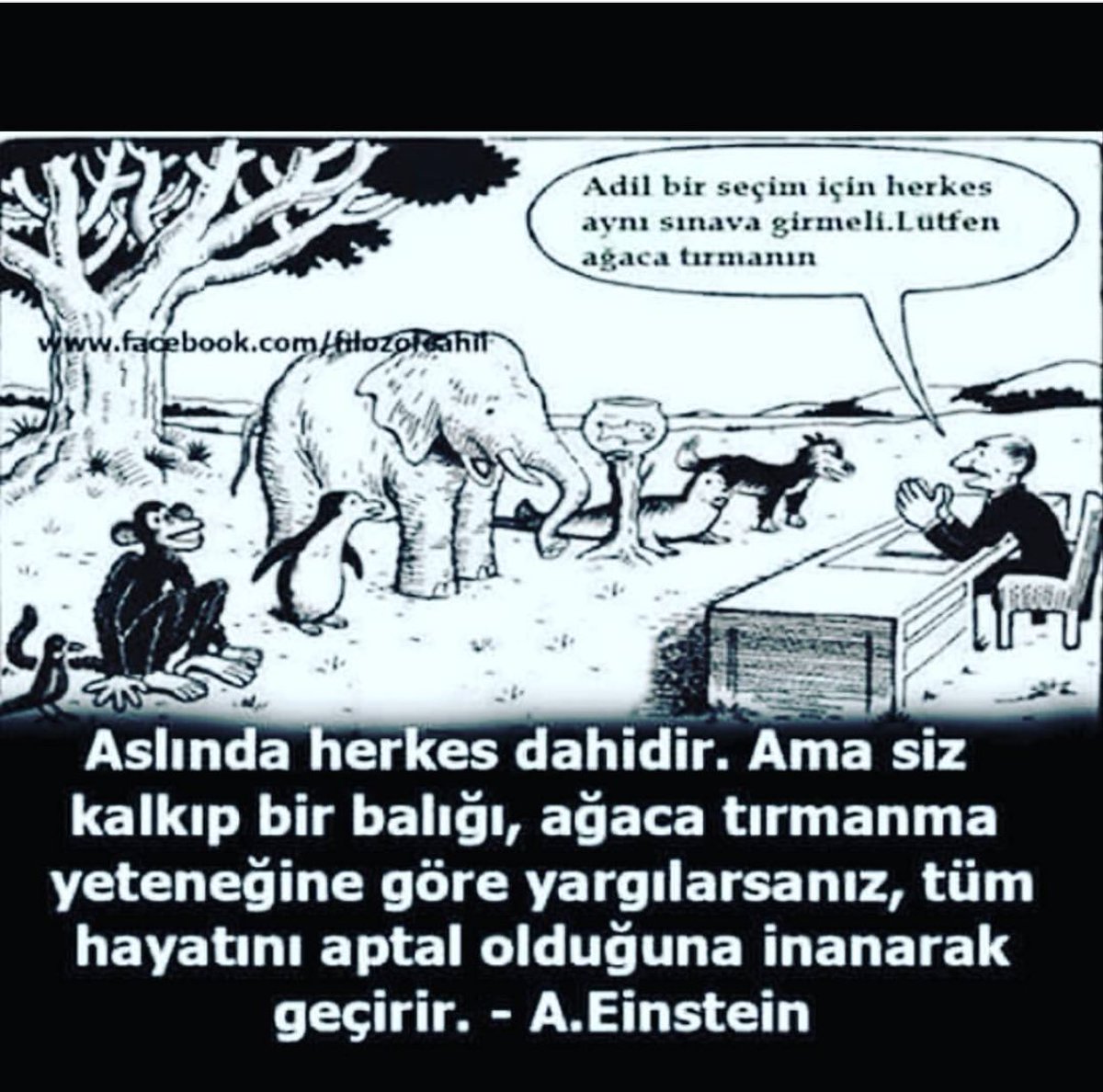 Harun Serkan Aktaş on Twitter: "Ata et, Aslana ot atılmaz 