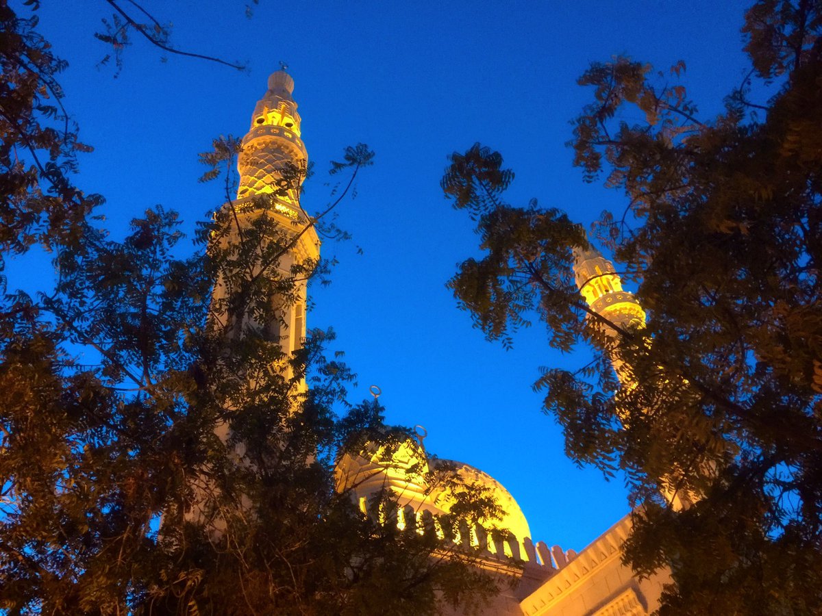reyahkhan's tweet image. #JumeirahMosque #maghribtime #salah 🙏🏽 #beautifulmasjid #SubhanAllah #amazingarchitecture #MyDubai #LushLifeUAE
