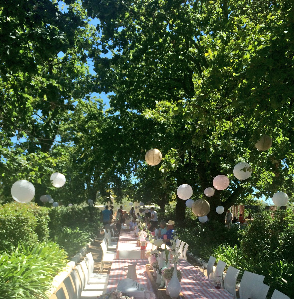 If you missed <a href="/VredeEnLust/">Vrede en Lust Estate</a> Harvest festival, there's always next year. Bon voyage! #LoveSA #FindYourEscape