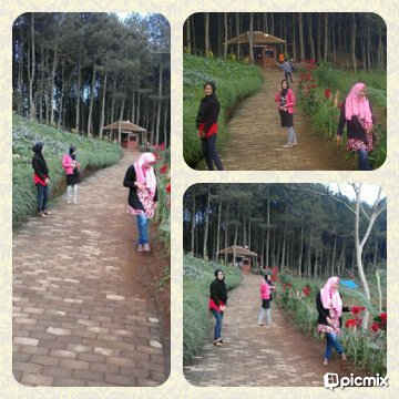 Sofia (@via_sovhie) on Twitter photo 