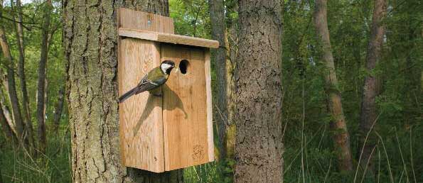 ¿Sabes hacer una caja nido? <a href="/SEO_BirdLife/">SEO/BirdLife</a> <a href="/urbaNATURALEZA/">Nacho Fdez</a> te enseña como  eldiariomontanes.es/santander/2016…