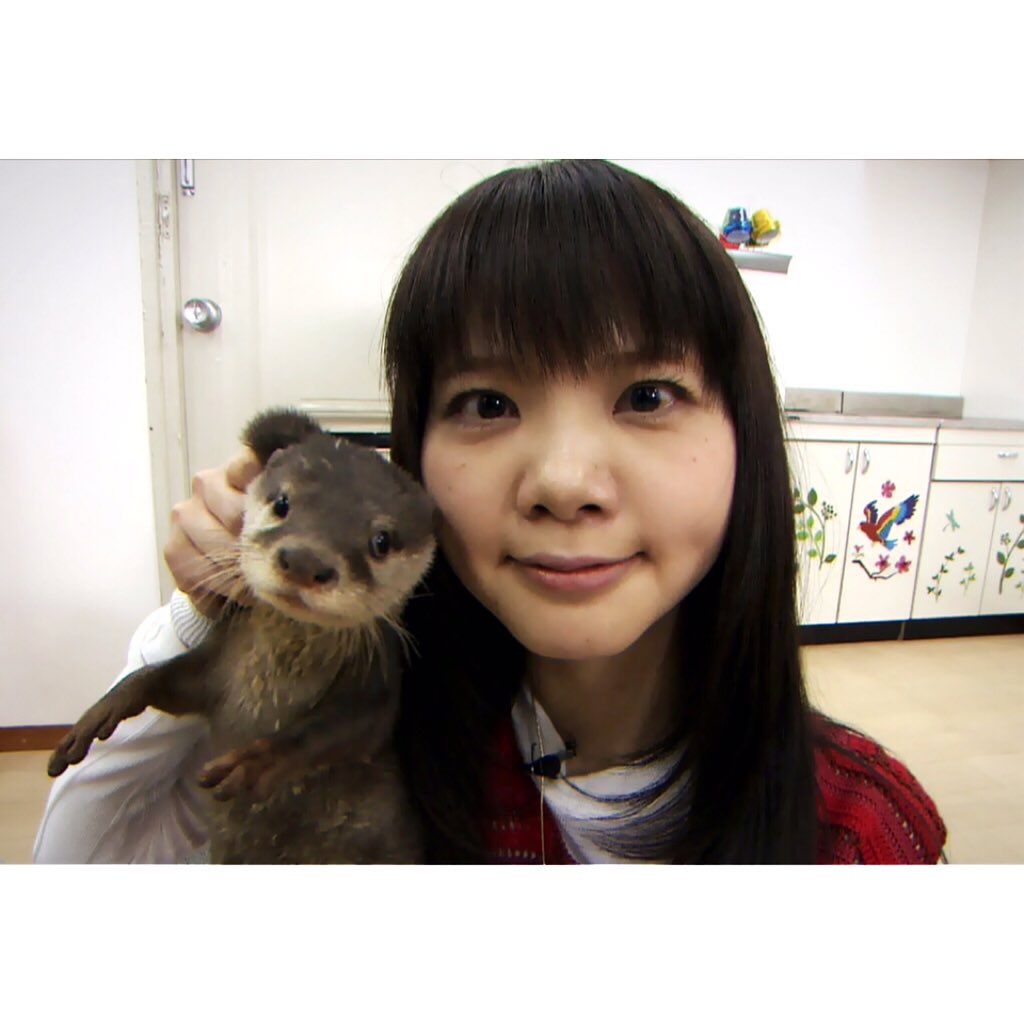 みーー 4年に1回の 聖恵ちゃんばーすでー いきものがかり 吉岡聖恵 カワウソ 吉岡聖恵誕生祭 0229 T Co Hfilnmrdkb みーー 4年に1回の 聖恵ちゃんばーすでー いきものがかり 吉岡聖恵 カワウソ 吉岡聖恵誕生祭 0229 T Co Hfilnmrdkb