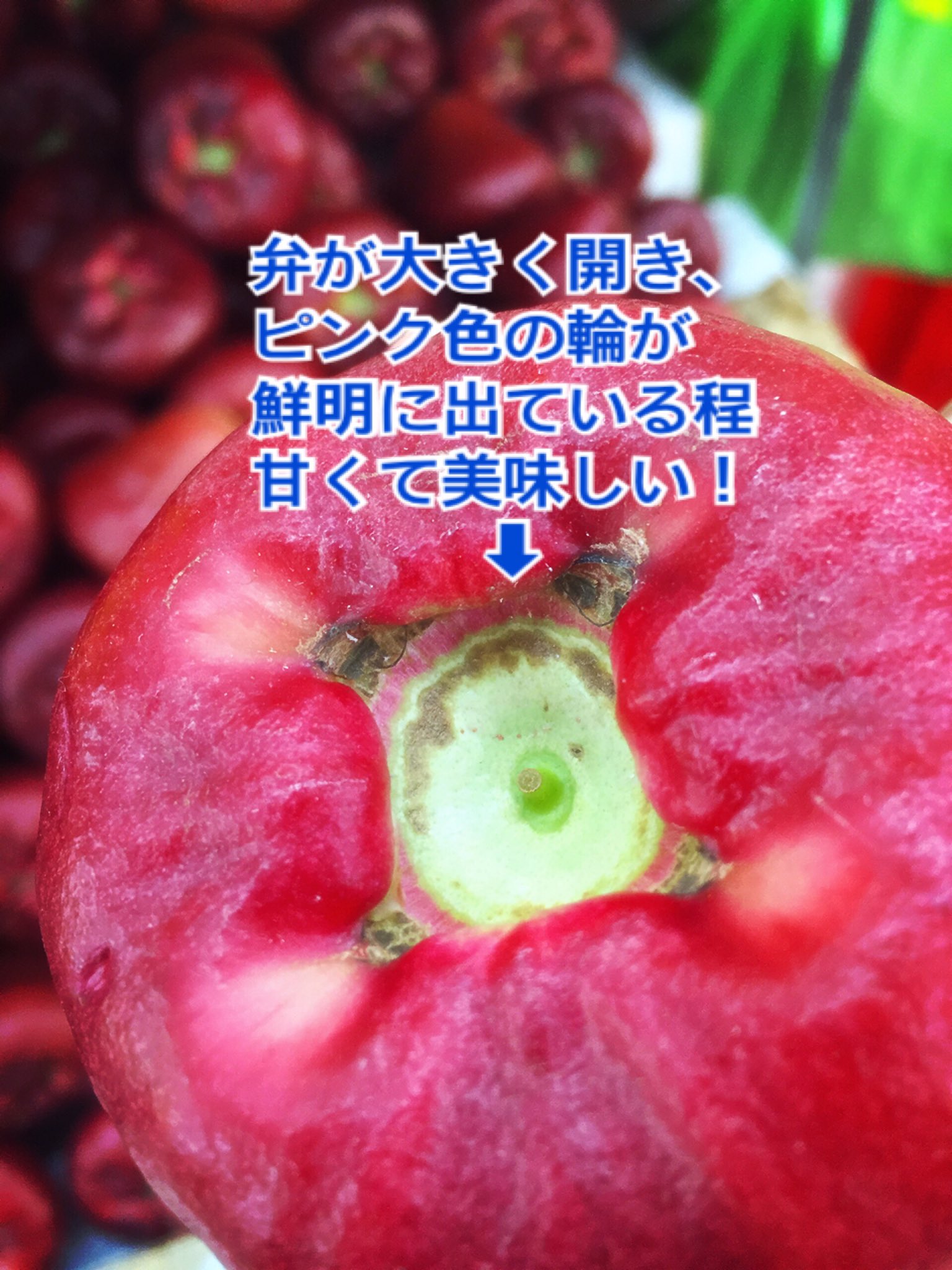 台湾人 台湾の冬の果物 蓮霧 レンブ 先日tlで日本の方が 美味しい見分け方 について書かれていたので その通りに厳選し食べてみると 今まで私が食べてきたのは何 と驚くほど甘くて美味しい 皆さんも果物屋さんで見かけたら是非 T 台湾人 台湾の冬の果物 蓮霧 レンブ 先日tlで日本の方が 美味しい見分け方 について書かれていたので その通りに厳選し食べてみると 今まで私が食べてきたのは何 と驚くほど甘くて美味しい 皆さんも果物屋さんで見かけたら是非 T