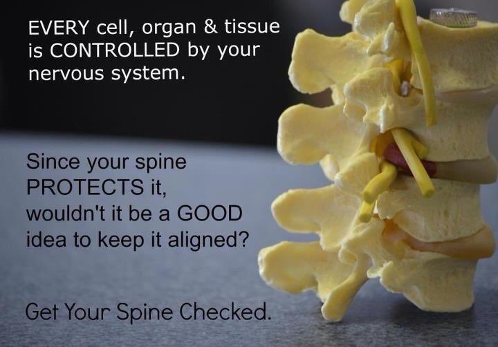 Call 01277 205 746 (from 8am-8pm Tomorrow) to speak to one of our Chiropractic Assistants #protectyourspine