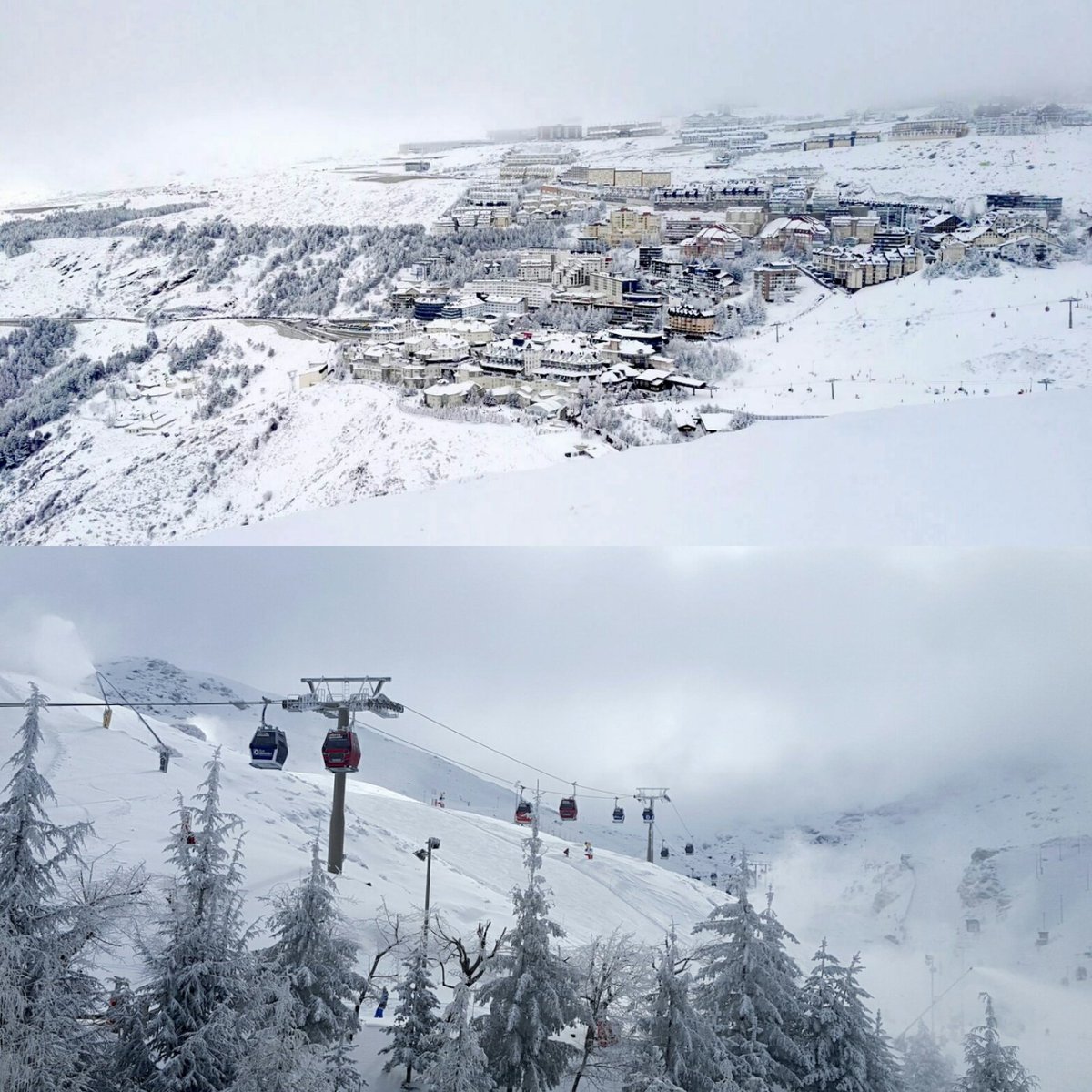 websierranevada's tweet photo. #SierraNevada prepara la apertura de todas las zonas al acumular 50 cm de nieve nueva. Info: https://t.co/Ip8IiplGGh https://t.co/JDVBF0KrY2