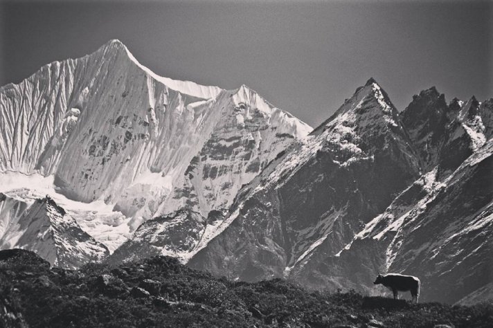 mkduwal's tweet photo. New photos on my #instagram https://t.co/eF2Va7TXrK
Beauty of #Mustang #Manang #Langtang 
#VisitNepal #ttot #Travel https://t.co/DoTwTeuGmc