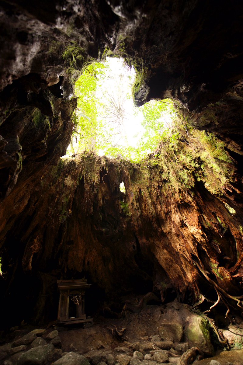 星空 Starry Heavens 屋久島の縄文杉ルートの途中にあるウィルソン株内のハート 待ち受けにすると恋愛運アップするみたいです T Co 75cyl8iotl