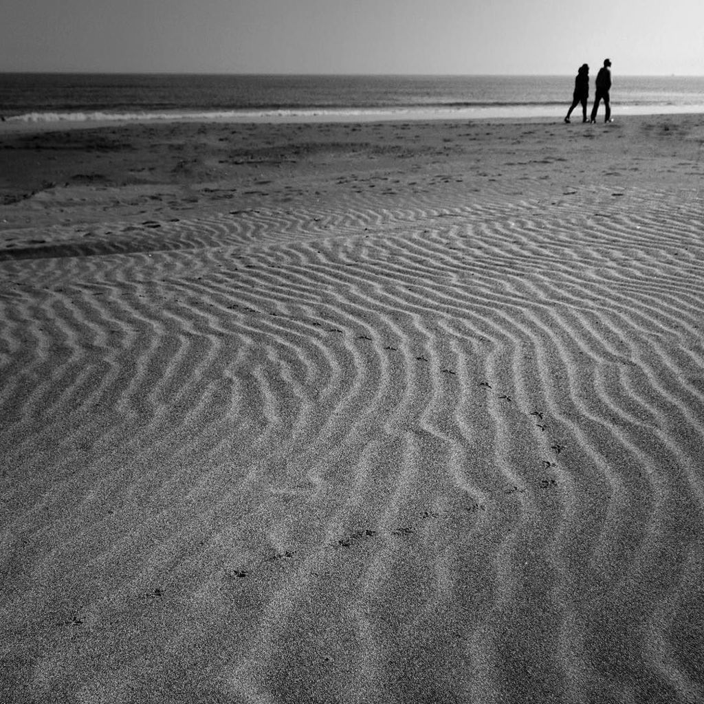 cat_testimo's tweet photo. Delta de l'Ebre #deltebre #deltadelebre #descobreixcatalunya #clikcat #blackwhite #blancin… https://t.co/R5YUaQW9jS https://t.co/YBGSiC4FhB