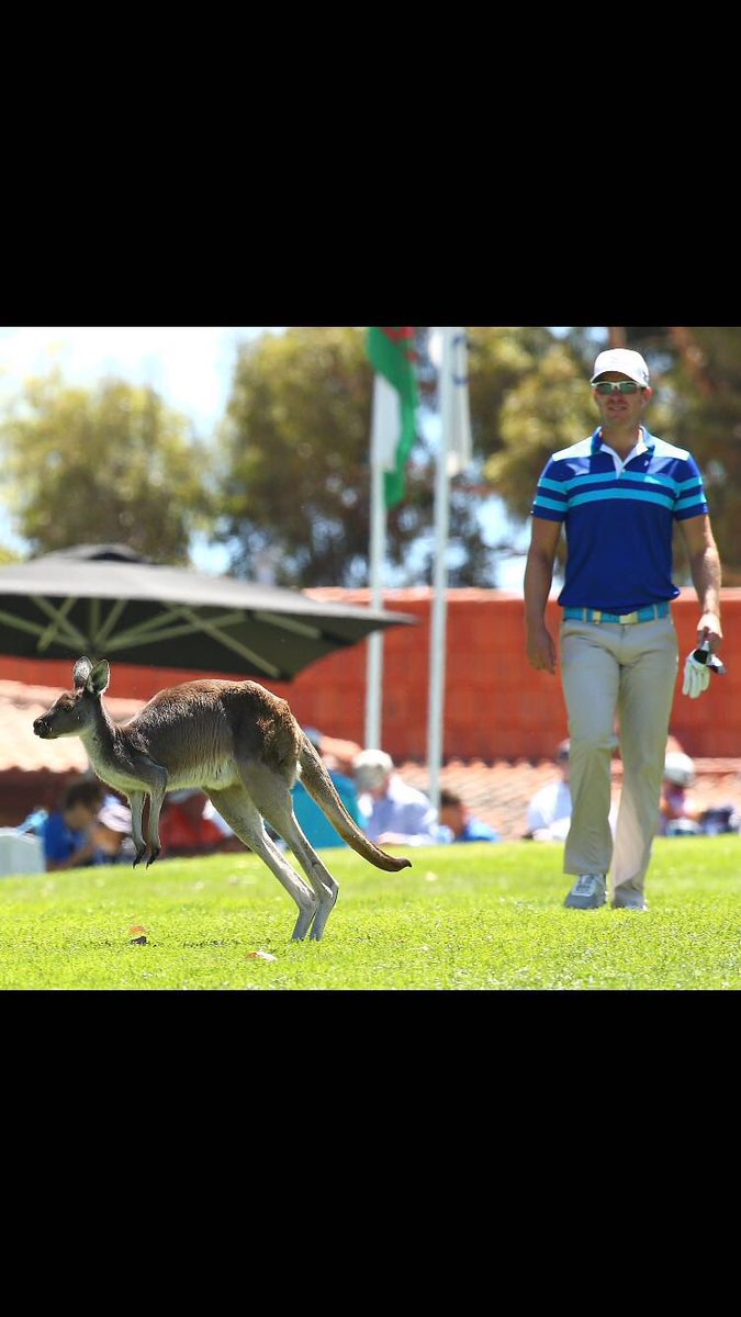 magnusacarlsson's tweet image. Thanks Lake Karrinyup Country Club for hosting a great event. #PerthIntl @EuropeanTour @MizunoGolf_News