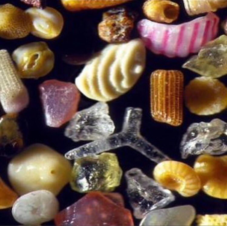 Suzzjane's tweet image. Sand under a microscope! #sand #microscopic #microscopeart #ace