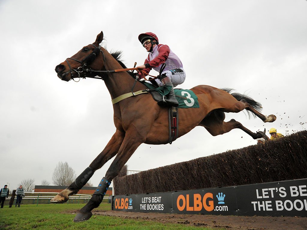 RacingPost's tweet image. The Gary Moore-trained Violet Dancer dies after suffering complications from surgery - bit.ly/213vIJs