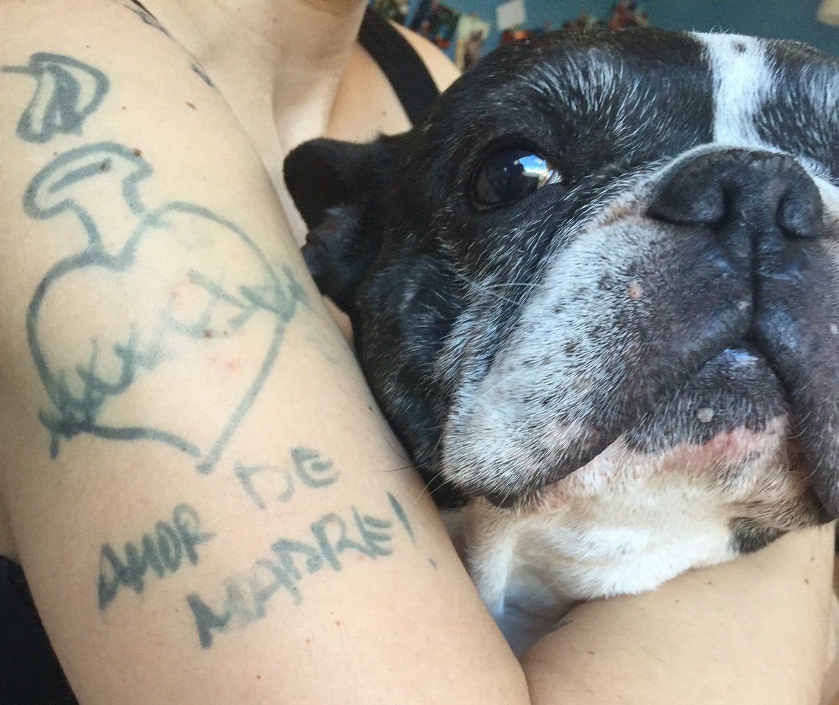 Amor infinito por <a href="/Perromusica/">PERRO</a> nos vemos en @Esmorga_Fest amigos!!!🐶