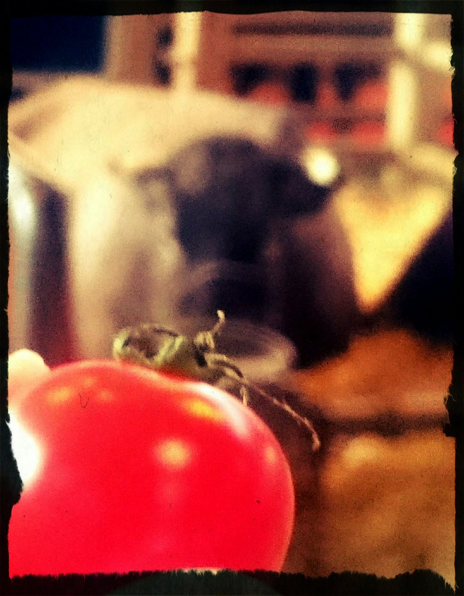#SIA2016: Tomate #Cerise !! (du Lot-et-Garonne !!) Cc <a href="/verodelery/">Vero Délery</a>