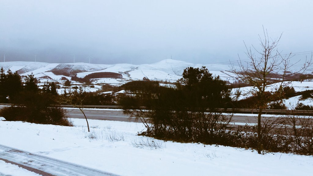 moviditas_'s tweet photo. Miña terra galega, donde el cielo es siempre gris. Miña terra galega, es duro estar lejos de ti. https://t.co/3WmRKDHsV4
