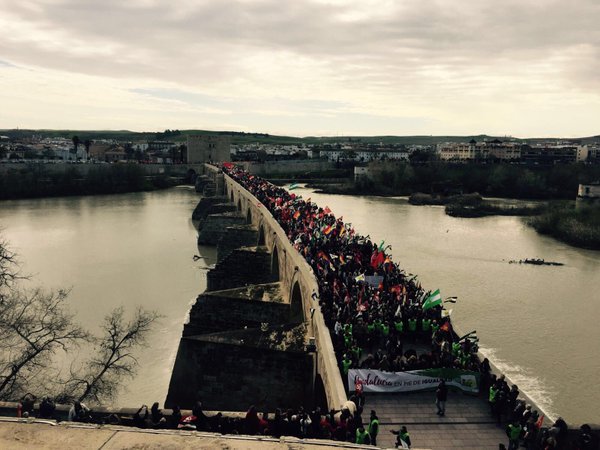 iuandalucia's tweet photo. Esto es #Movimiento28F Miles en Córdoba hoy luchando por una Andalucía en pie de igualdad! https://t.co/ev8hFPqcmV