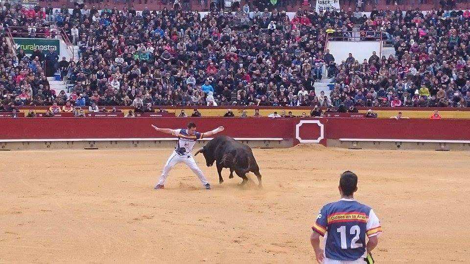 arribestaurinas's tweet photo. Exhibición de un toro en homenaje al recortador madrileño Sergio Delgado. #Castellón #Magdalena16 https://t.co/xvCMhbQ2M4