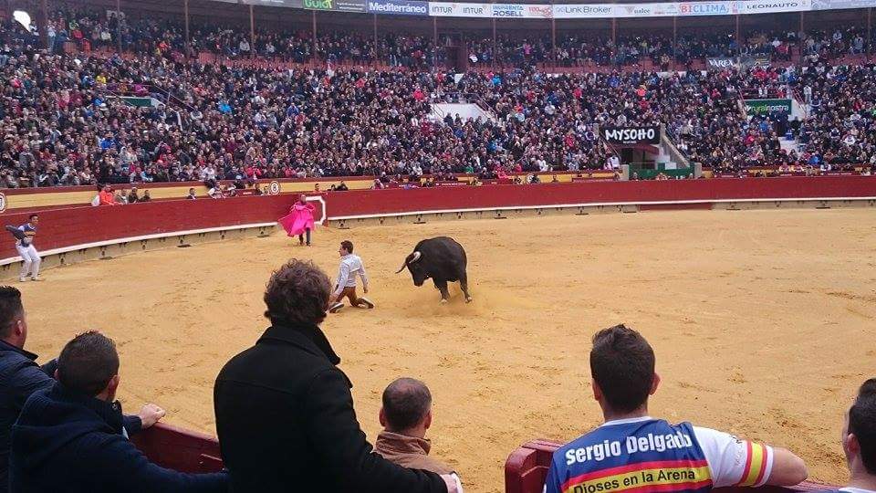 arribestaurinas's tweet photo. Exhibición de un toro en homenaje al recortador madrileño Sergio Delgado. #Castellón #Magdalena16 https://t.co/xvCMhbQ2M4