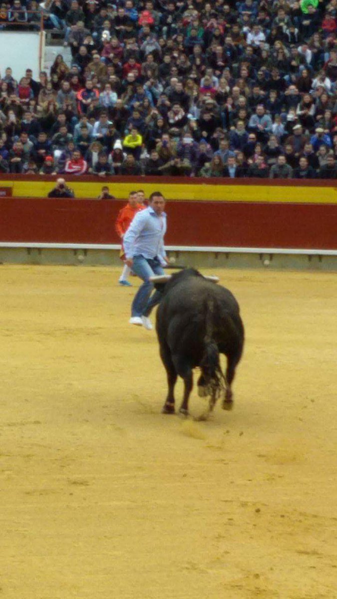 arribestaurinas's tweet photo. Exhibición de un toro en homenaje al recortador madrileño Sergio Delgado. #Castellón #Magdalena16 https://t.co/xvCMhbQ2M4