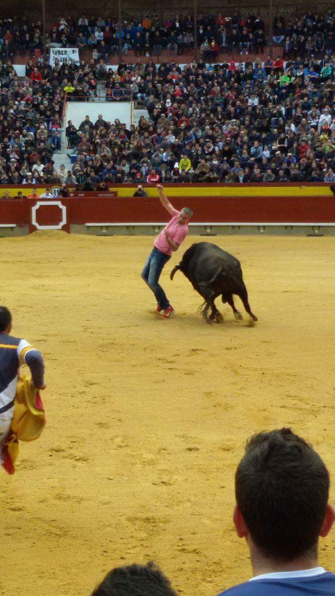 arribestaurinas's tweet photo. Exhibición de un toro en homenaje al recortador madrileño Sergio Delgado. #Castellón #Magdalena16 https://t.co/xvCMhbQ2M4
