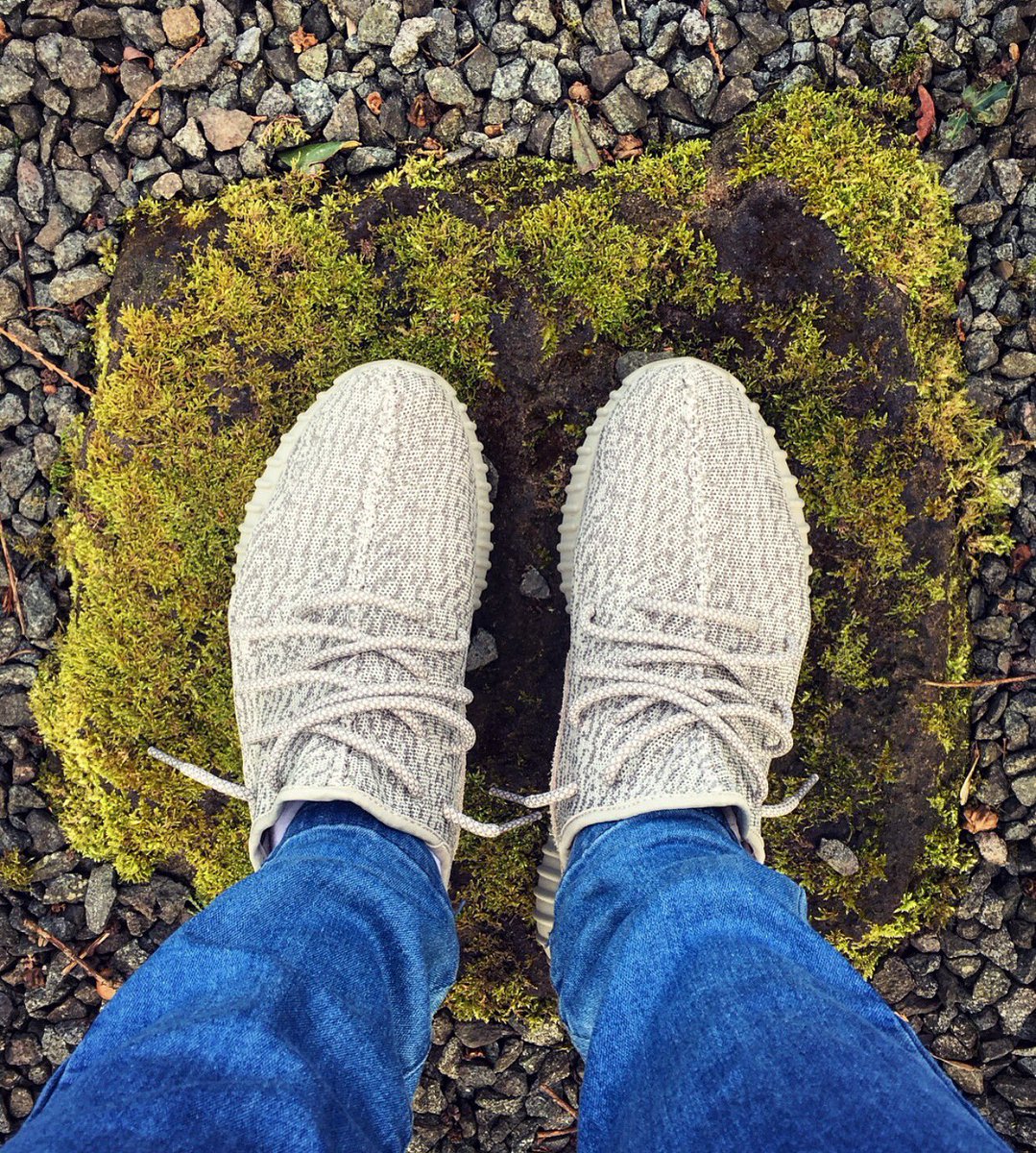 Yeezys For All on Twitter: "Moonrock 350 on feet this morning. What #Yeezy's are you wearing today? https://t.co/hczN0tAlCJ" / Twitter